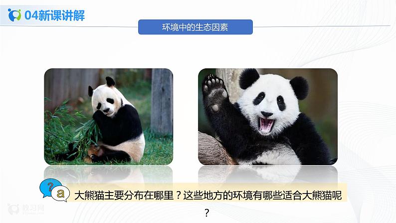 1.2.1 生物与环境的关系 第1课时 课件PPT+教案+同步练习07