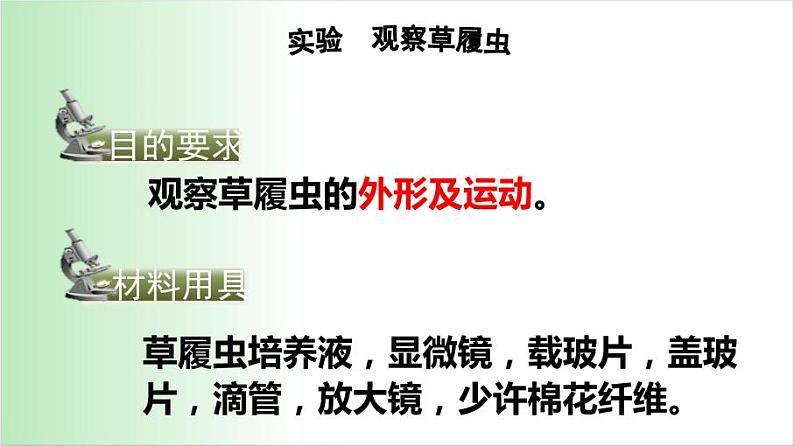 2.2.4 单细胞生物 课件 2021——2022学年人教版七年级生物上册03