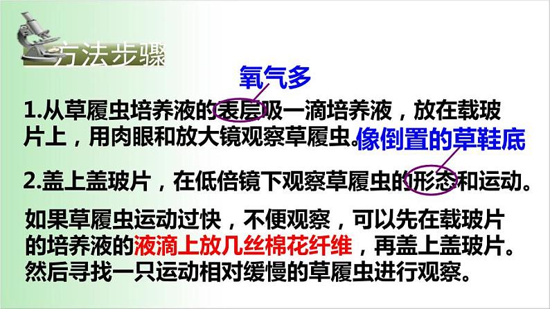 2.2.4 单细胞生物 课件 2021——2022学年人教版七年级生物上册04