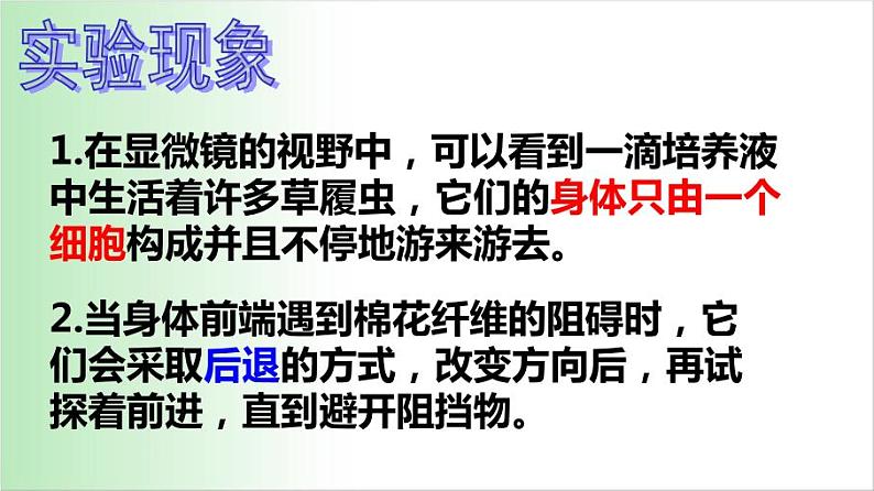 2.2.4 单细胞生物 课件 2021——2022学年人教版七年级生物上册05