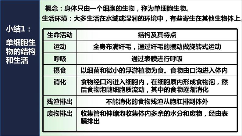 2.2.4 单细胞生物 课件 2021——2022学年人教版七年级生物上册08