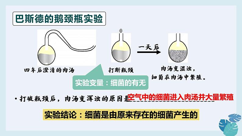 人教版 八年级上册 生物《细菌》课件06