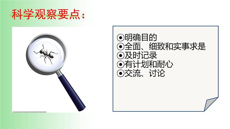 2021——2022学年人教版七年级生物上册1.1.1. 生物的特征 课件05