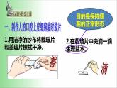2021——2022学年人教版七年级生物上册2.1.3动物细胞 课件