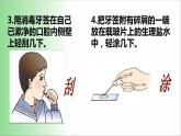 2021——2022学年人教版七年级生物上册2.1.3动物细胞 课件