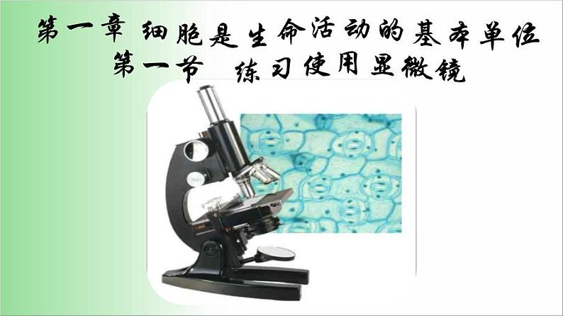 2021-2022学年人教版七年级生物上册2.1.1 练习使用显微镜 课件02