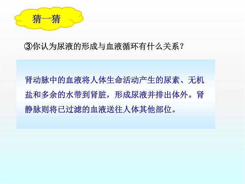 尿的形成和排出PPT课件免费下载06