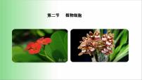 初中生物人教版 (新课标)七年级上册第二节 植物细胞教课课件ppt