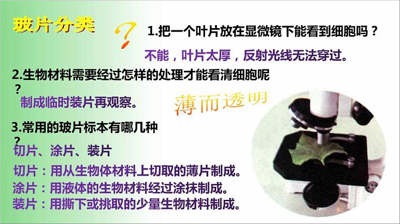 2021—2022学年人教版七年级生物上册2.1.2植物细胞 课件第2页