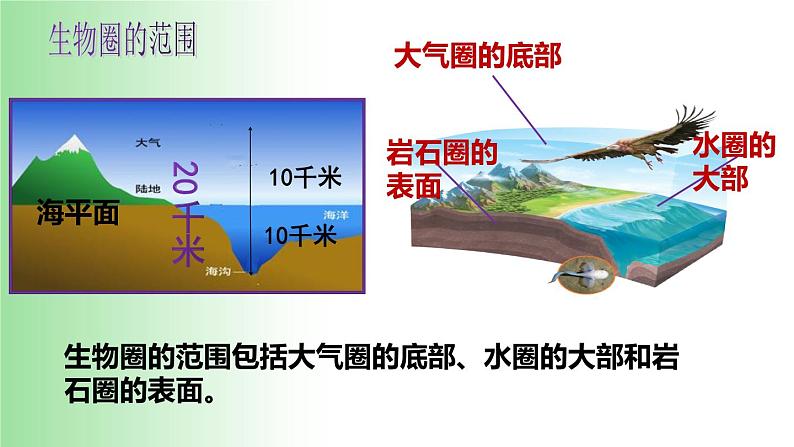 2021—2022学年1.2.3 生物圈是最大的生态系统 课件03