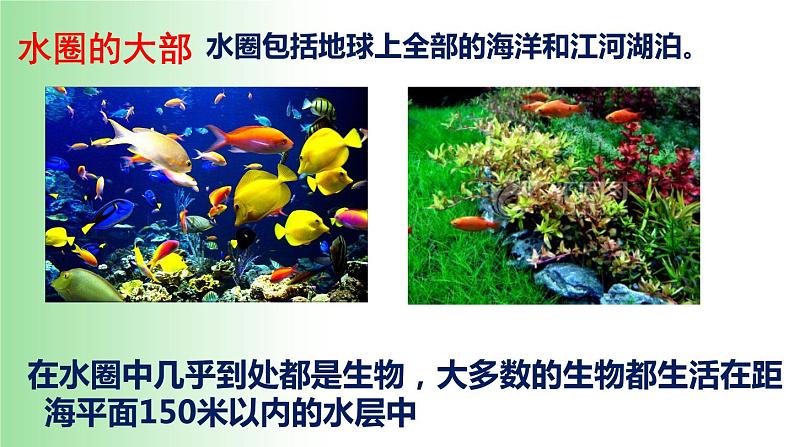 2021—2022学年1.2.3 生物圈是最大的生态系统 课件05