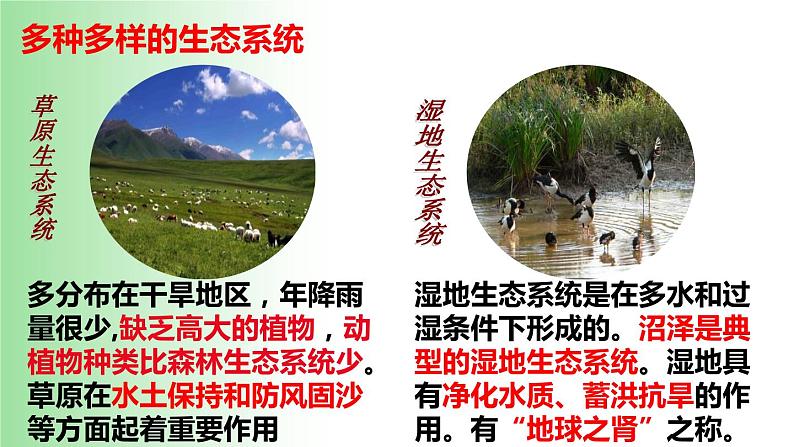 2021—2022学年1.2.3 生物圈是最大的生态系统 课件08