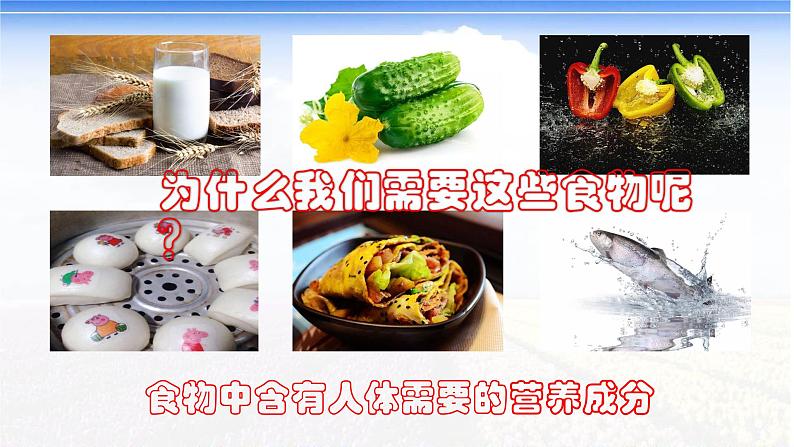 2020-2021学年北师大版七年级生物下册8.1人类的食物 课件第2页