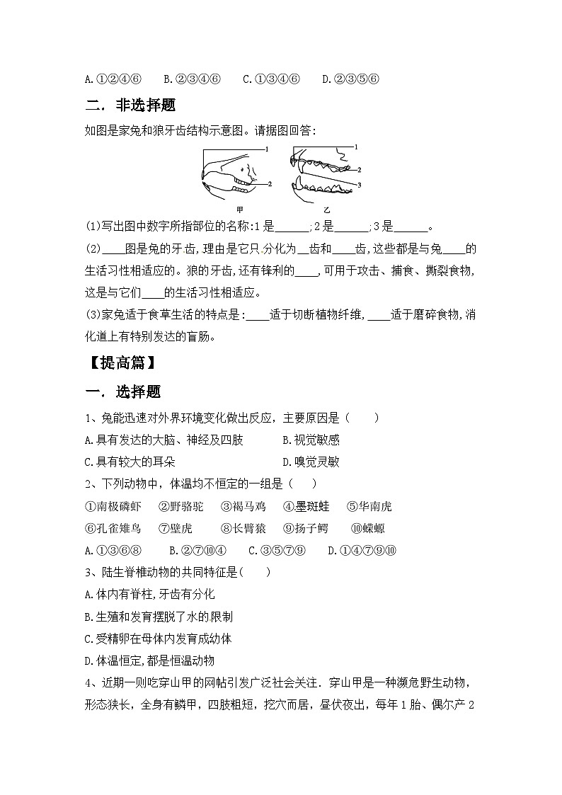 【核心素养目标】人教版初中生物八年级上册5.1.7《哺乳动物》课件+视频+教学设计+同步分层练习（含答案）02