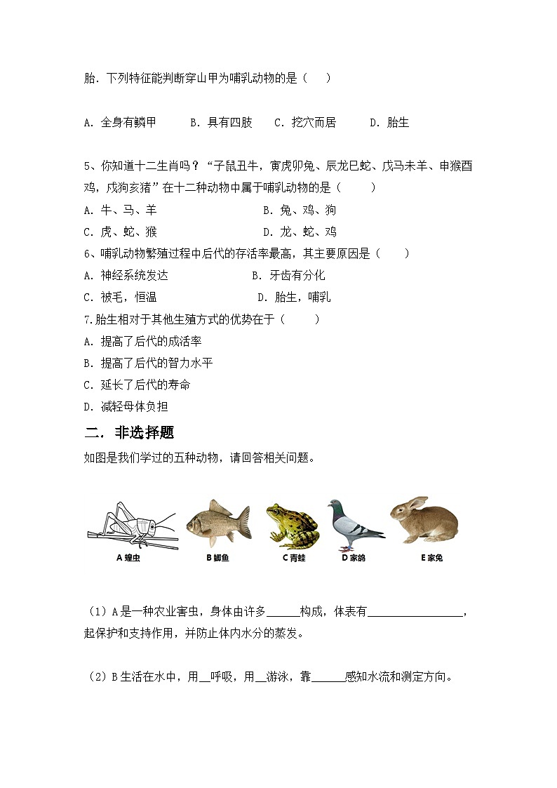 【核心素养目标】人教版初中生物八年级上册5.1.7《哺乳动物》课件+视频+教学设计+同步分层练习（含答案）03