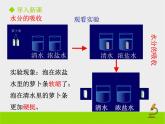 3.5.3 吸收作用 课件2021--2022学年北师大版七年级上册