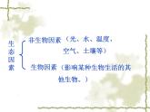 1.1.2 生物與環(huán)境的相互影響 課件  2021-2022學(xué)年北師大版七年級(jí)生物上冊(cè)