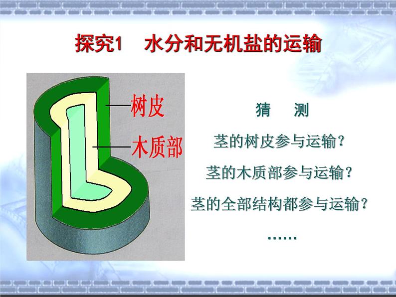 3.5.5运输作用 课件2021--2022学年北师大版七年级上册04