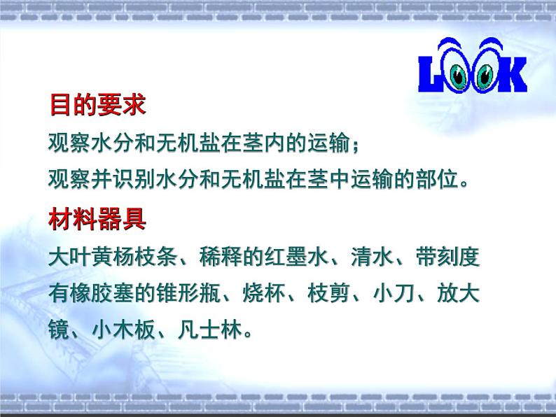 3.5.5运输作用 课件2021--2022学年北师大版七年级上册05