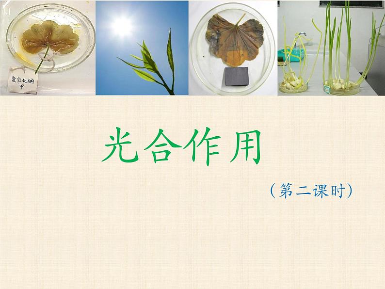 2021--2022学年北师大版生物七年级上册3.5.1 光合作用（2） 课件第1页