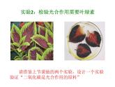 2021--2022学年北师大版生物七年级上册3.5.1 光合作用（2） 课件