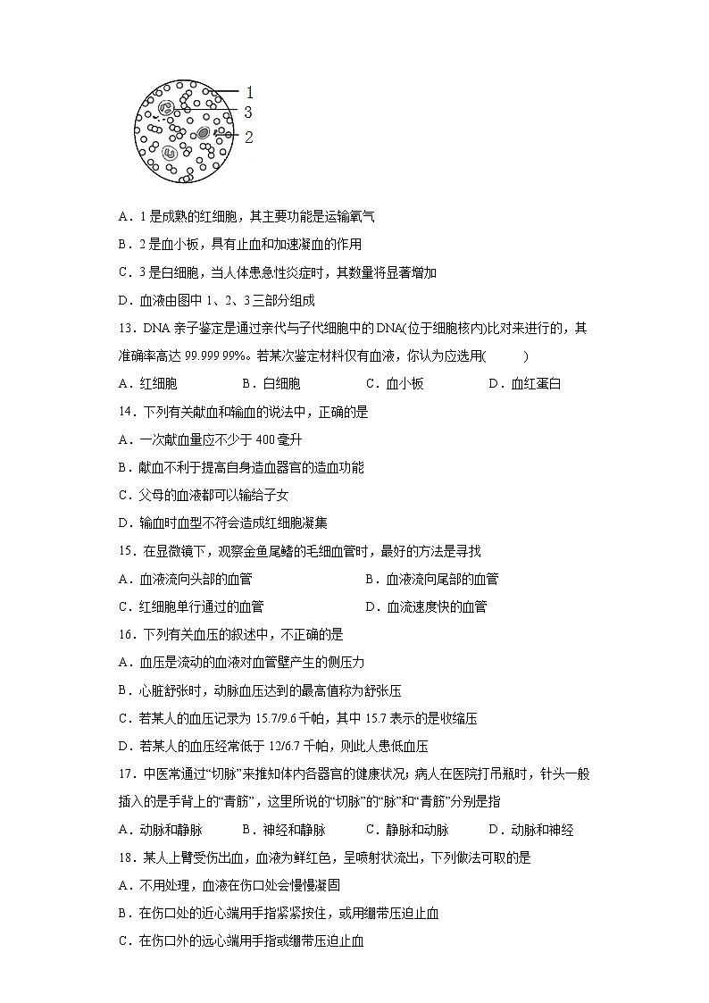 山东省潍坊安丘市2020-2021学年七年级下学期期中生物试题（word版 含答案）第3页