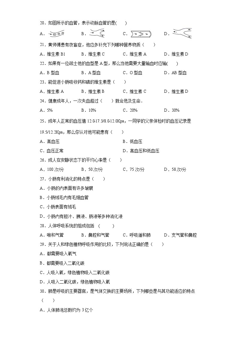 辽宁省抚顺市新宾县2020-2021学年七年级下学期期中生物试题（word版 含答案）03