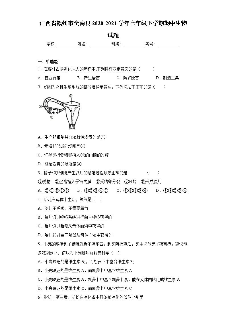 江西省赣州市全南县2020-2021学年七年级下学期期中生物试题第1页