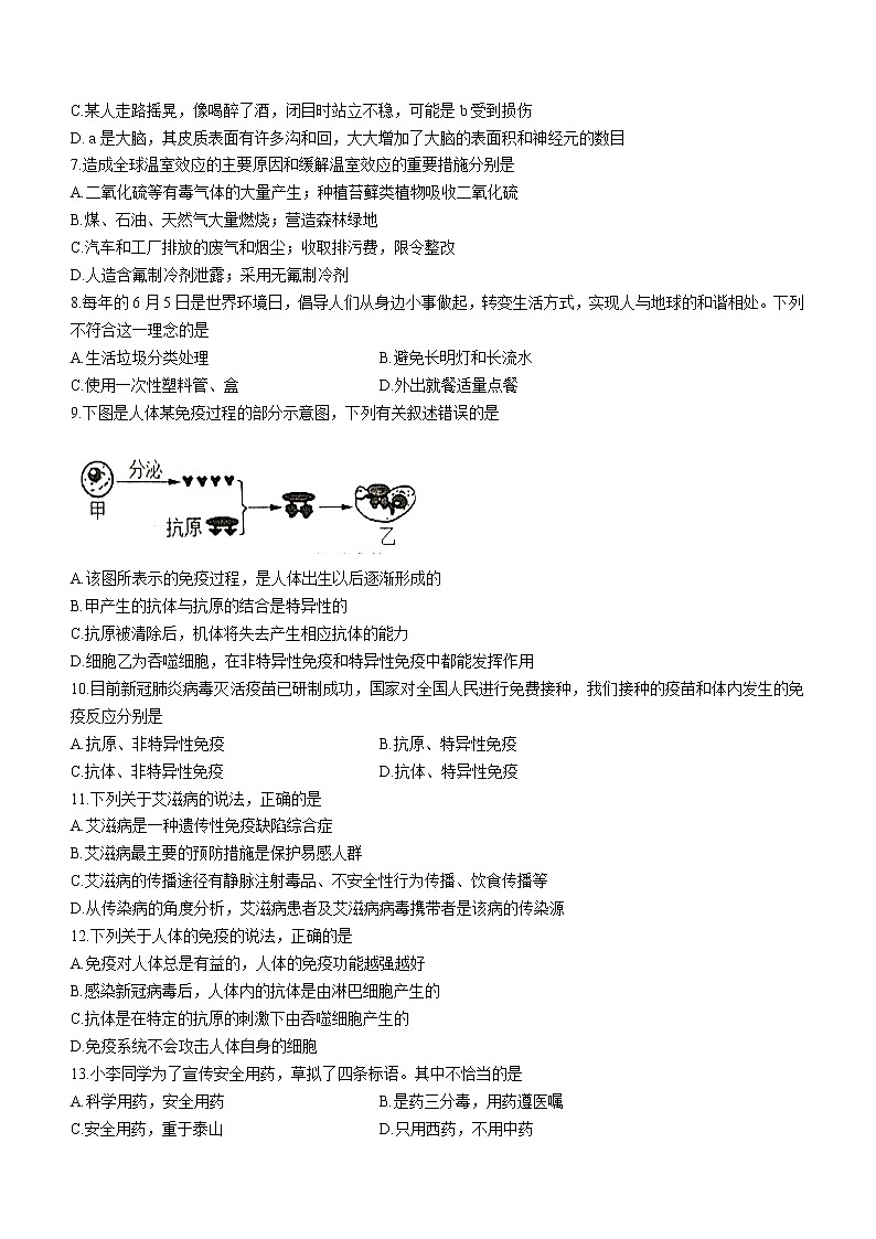 山东省烟台市莱州市2020-2021学年七年级下学期期末生物试题（word版 含答案）02
