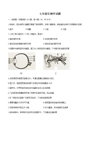 山东省淄博市周村区（五四制）2020-2021学年七年级下学期期末生物试题（word版 含答案）