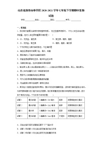 山东省潍坊市寒亭区2020-2021学年七年级下学期期中生物试题（word版 含答案）