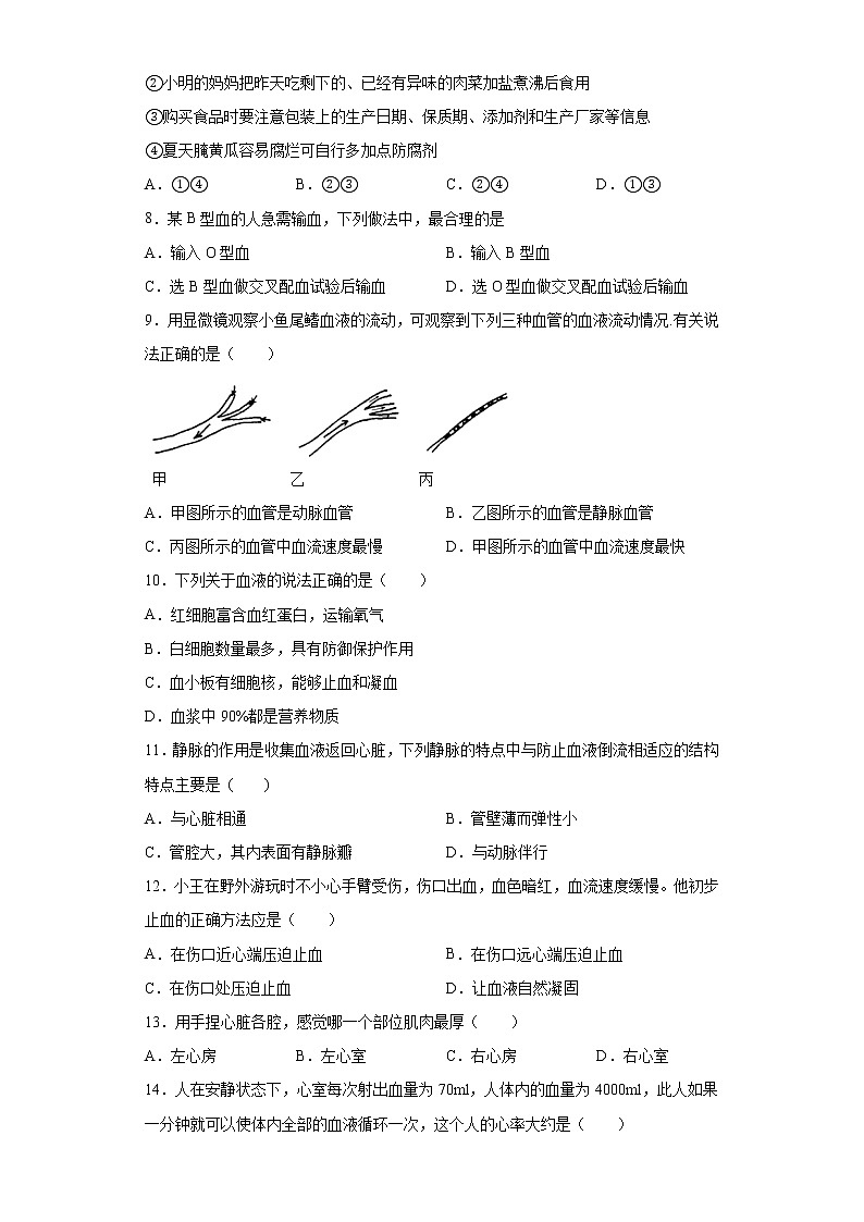 河北省石家庄市栾城区2020-2021学年七年级下学期期中生物试题（word版 含答案）第2页