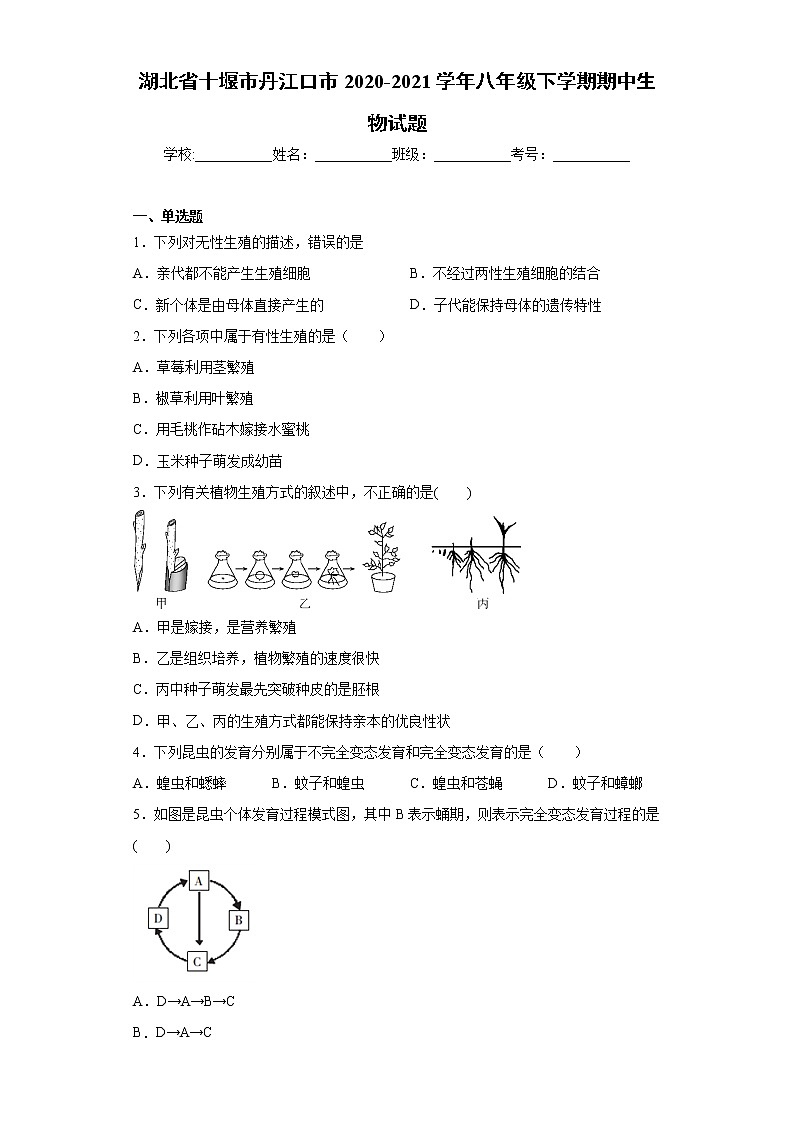 湖北省十堰市丹江口市2020-2021学年八年级下学期期中生物试题（word版 含答案）01