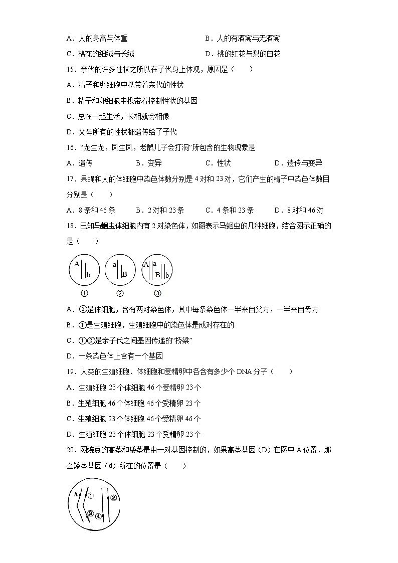 湖北省十堰市丹江口市2020-2021学年八年级下学期期中生物试题（word版 含答案）03