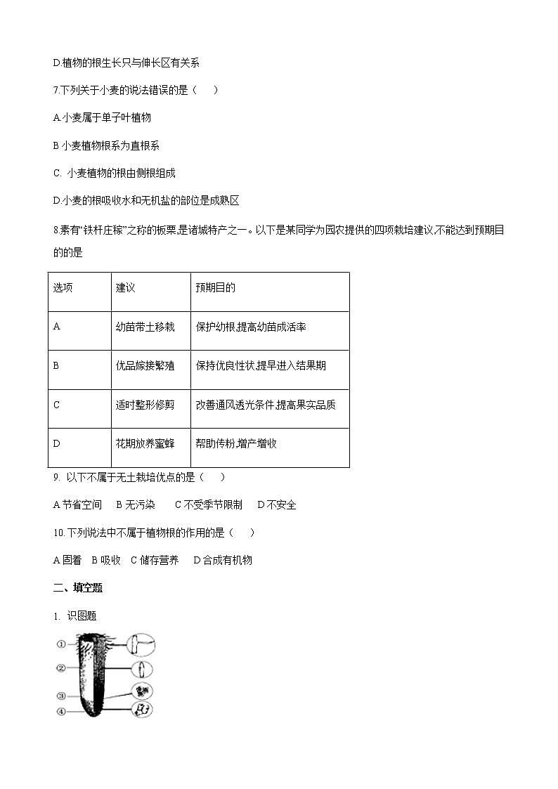济南版生物 八年级上册 1.5 根的结构和功能 练习（含答案）第2页
