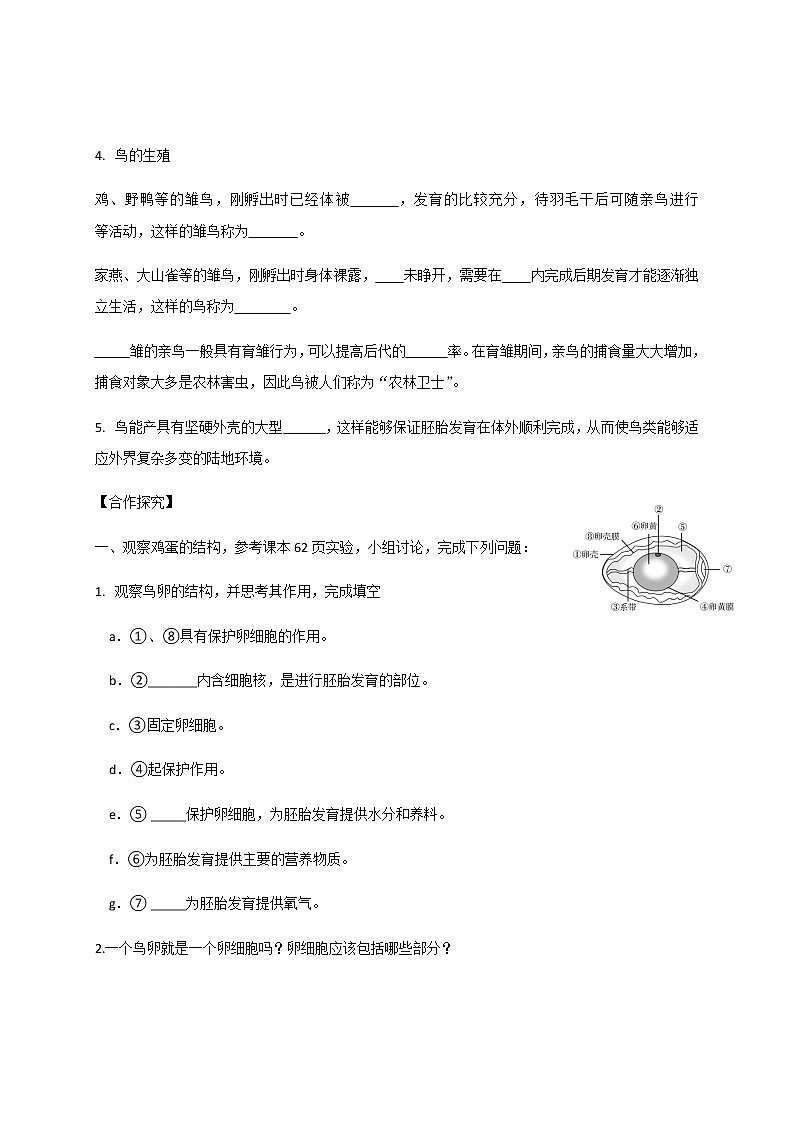 4.2.3 鸟的生殖发育 同步练习（含答案）02