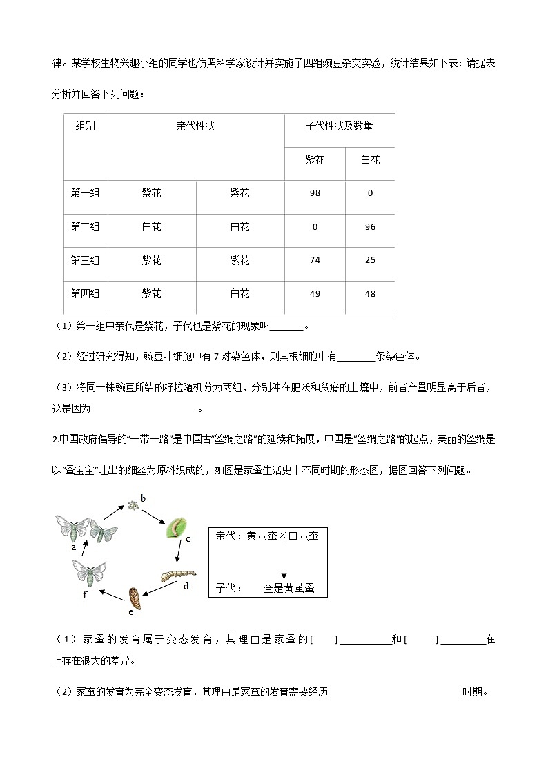 济南版生物 八年级上册 4.1 遗传的物质基础 同步练习（含解析）第3页