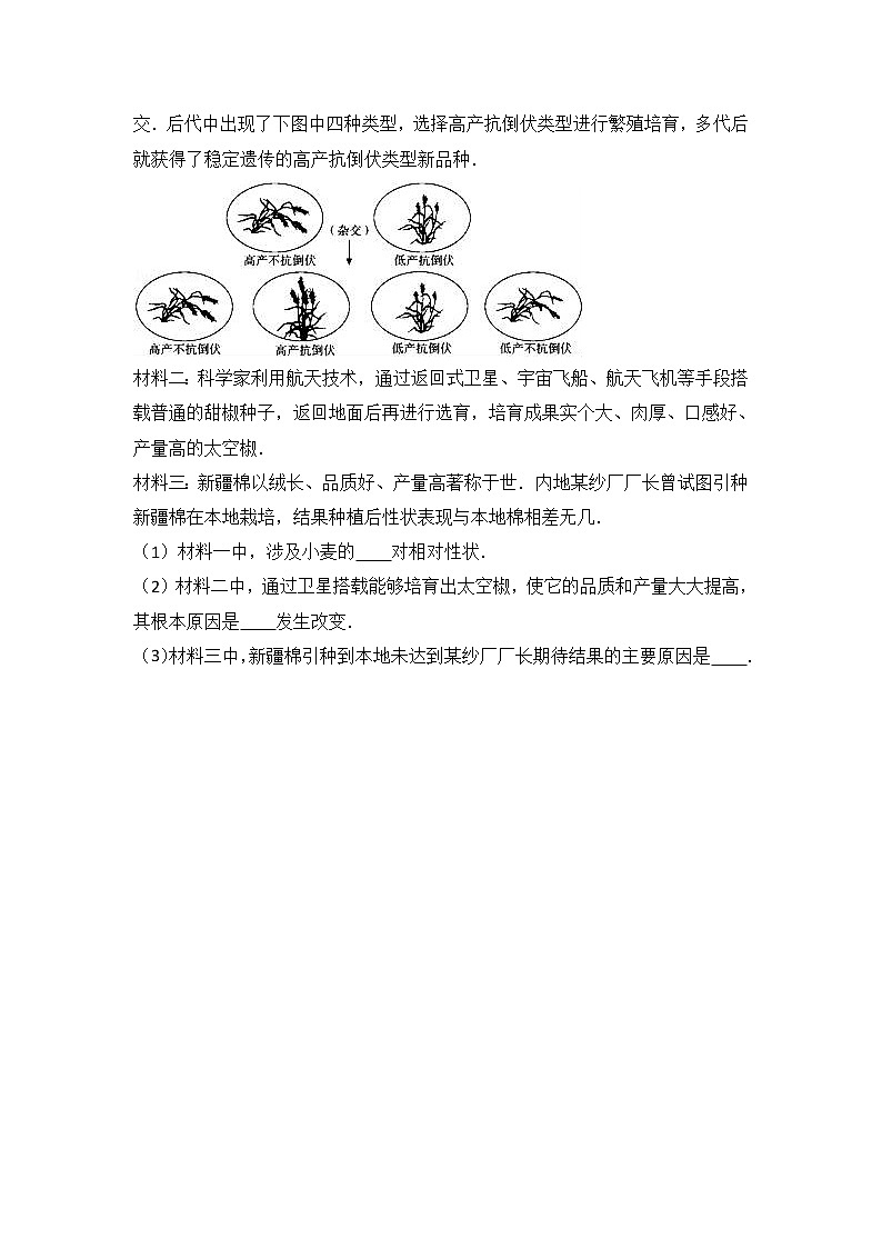4.4.4 生物的变异 同步练习（含答案）03