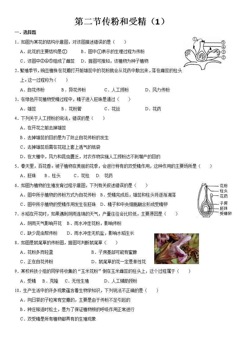 济南版生物八年级上册第一章第二节传粉和受精练习题01