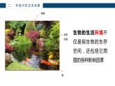人教版七年级上第一单元第二章第一节—生物与环境的关系课件PPT