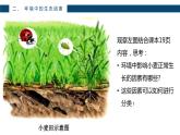 人教版七年级上第一单元第二章第一节—生物与环境的关系课件PPT