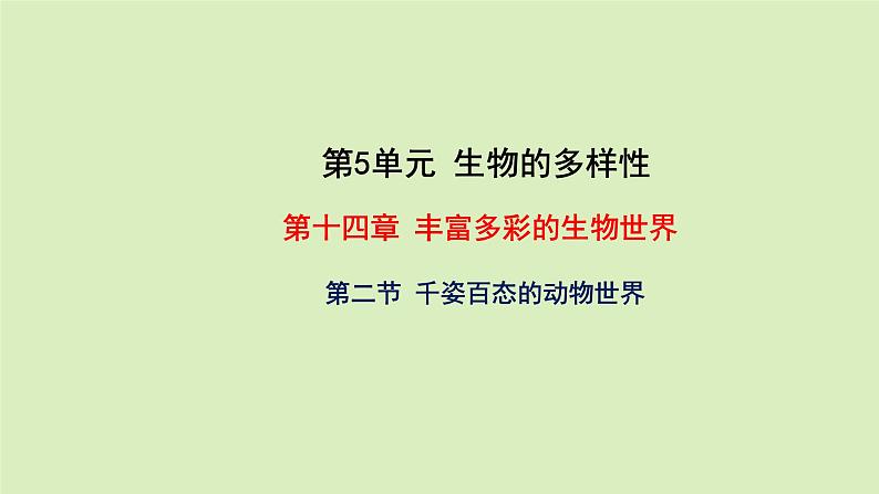 第十四章丰富多彩的生物世界 14.2千姿百态的动物世界 PPT课件01