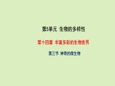 第十四章丰富多彩的生物世界 14.3神奇的微生物 PPT课件