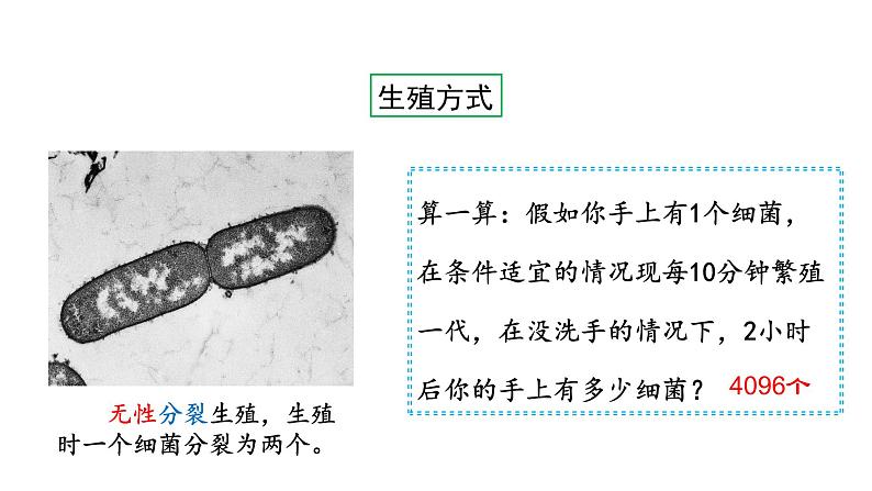 第十四章丰富多彩的生物世界 14.3神奇的微生物 PPT课件08