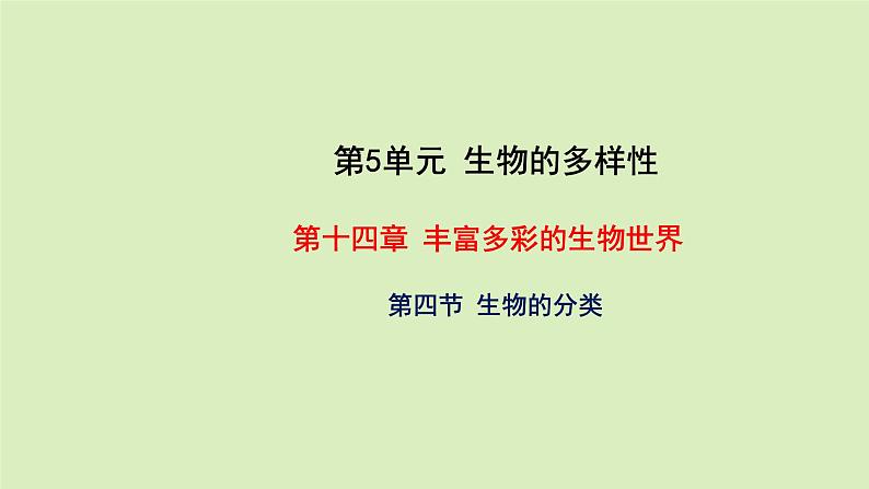 苏教版八年级上册生物14.4生物的分类课件(共15张PPT)第1页