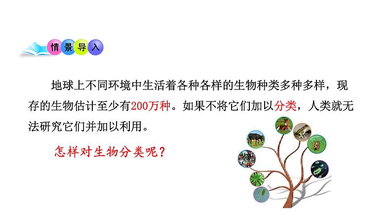 苏教版八年级上册生物14.4生物的分类课件(共15张PPT)第2页