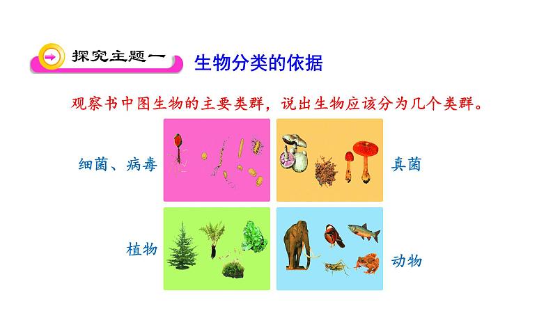 苏教版八年级上册生物14.4生物的分类课件(共15张PPT)第3页