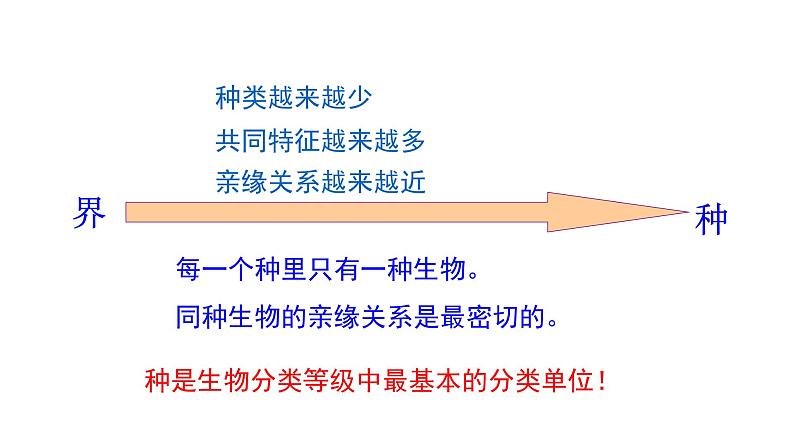 苏教版八年级上册生物14.4生物的分类课件(共15张PPT)第7页