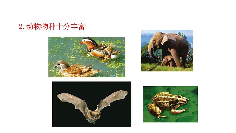 第十五章生物多样性及其保护 15.1生物多样性 PPT课件05