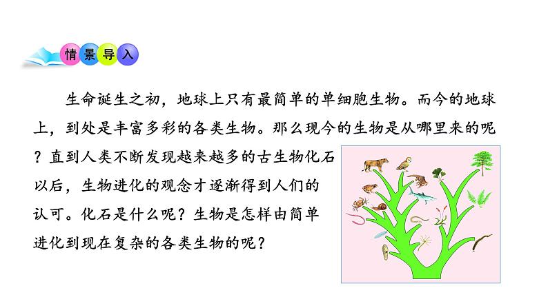 第十六章生命起源和生物进化 16.2生物进化的历程 PPT课件02